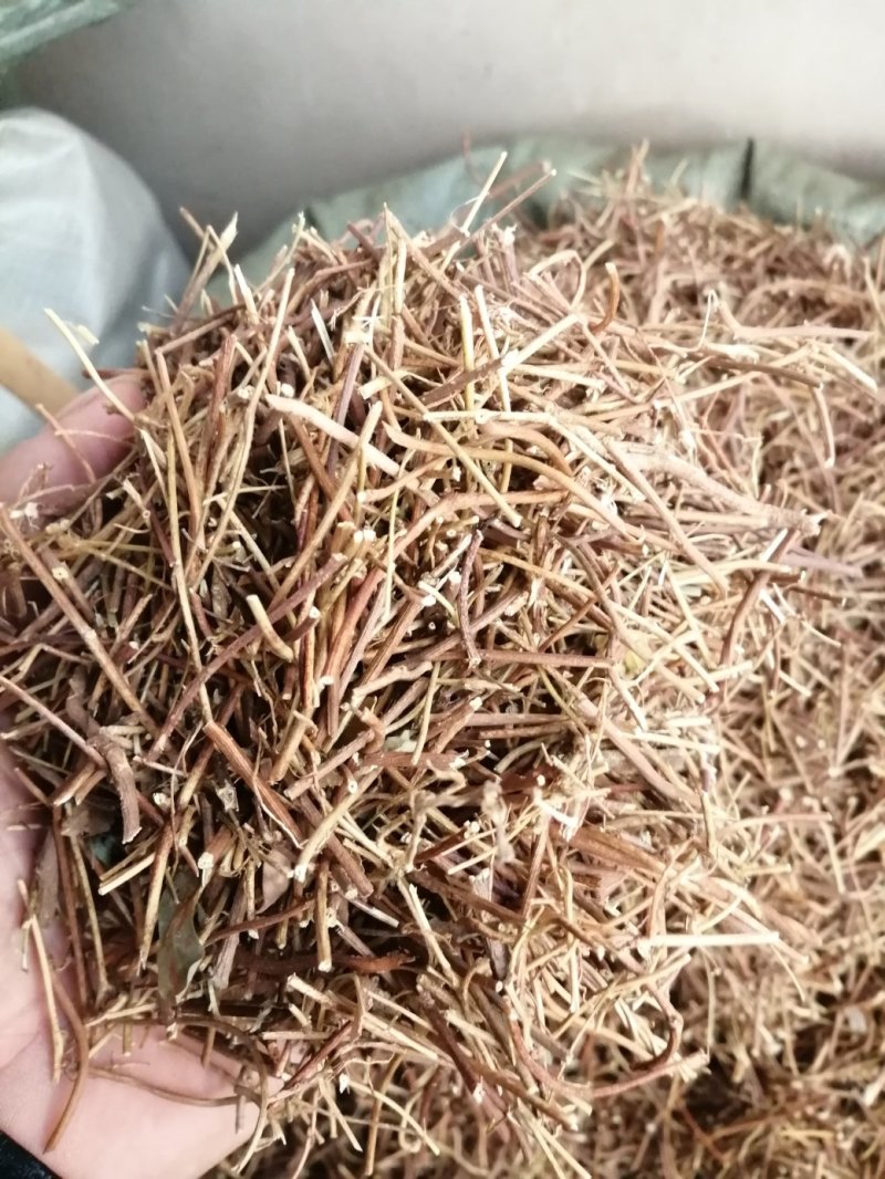鸡骨草，广西特产鸡骨草，药食两用，现货供应