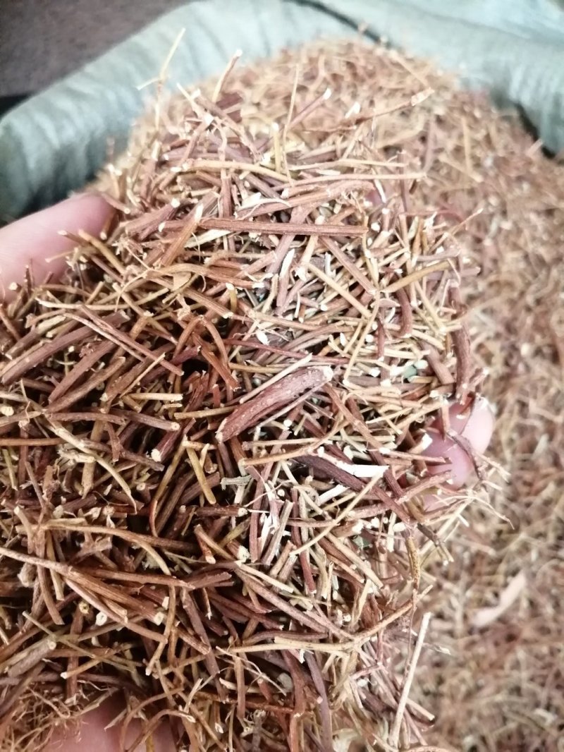 鸡骨草，广西特产鸡骨草，药食两用，现货供应