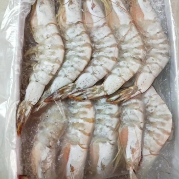 湛江特产