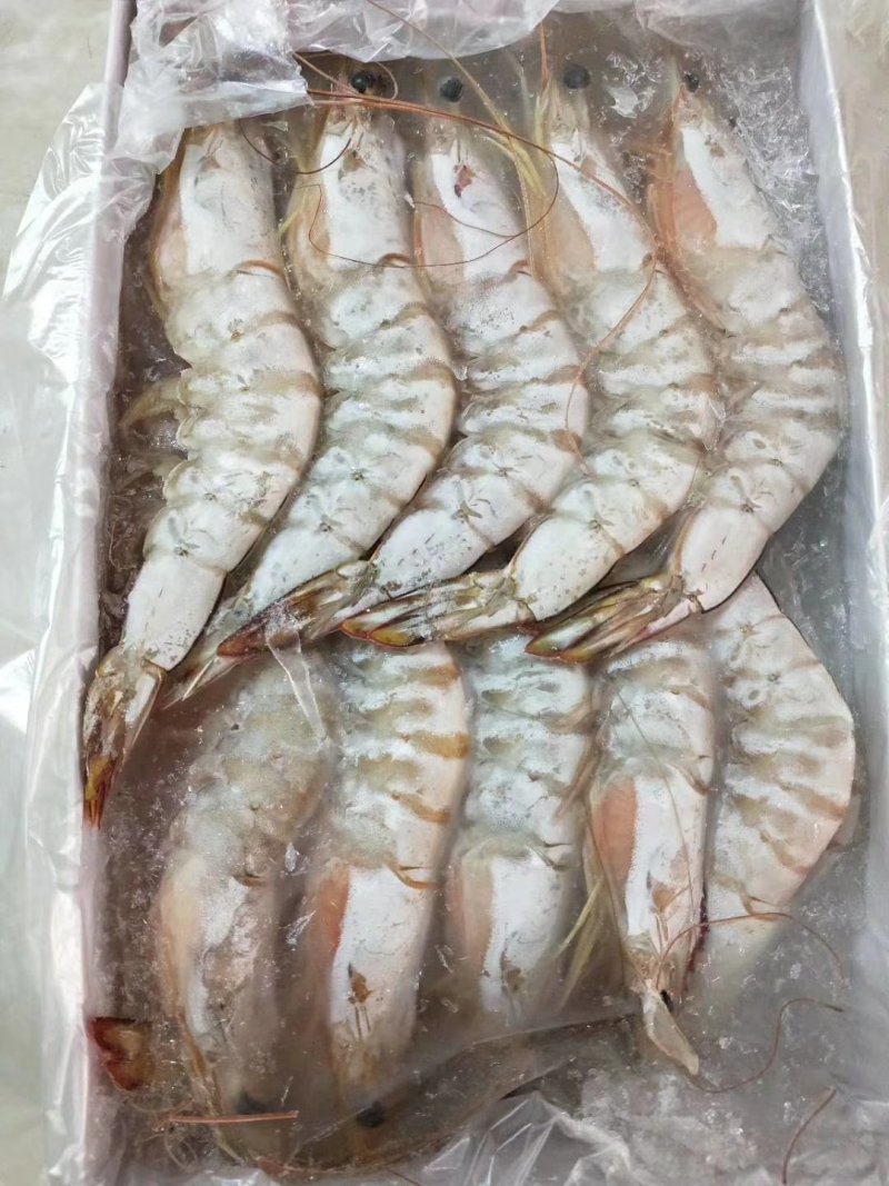 湛江特产