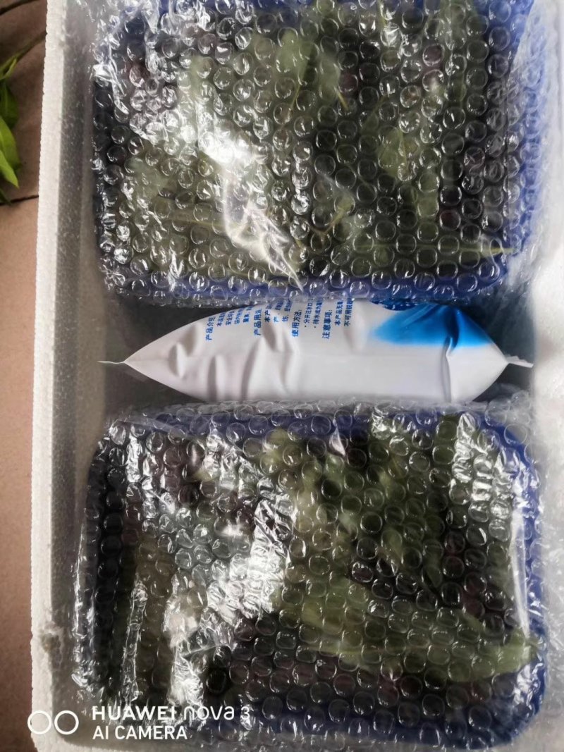 杨梅各种包装，欢迎预定，量大从优，可批发可零售。一件代发