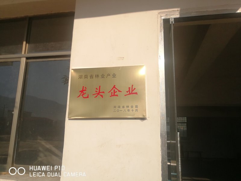 毛竹2米2.5米3米（竹尾）一手货源