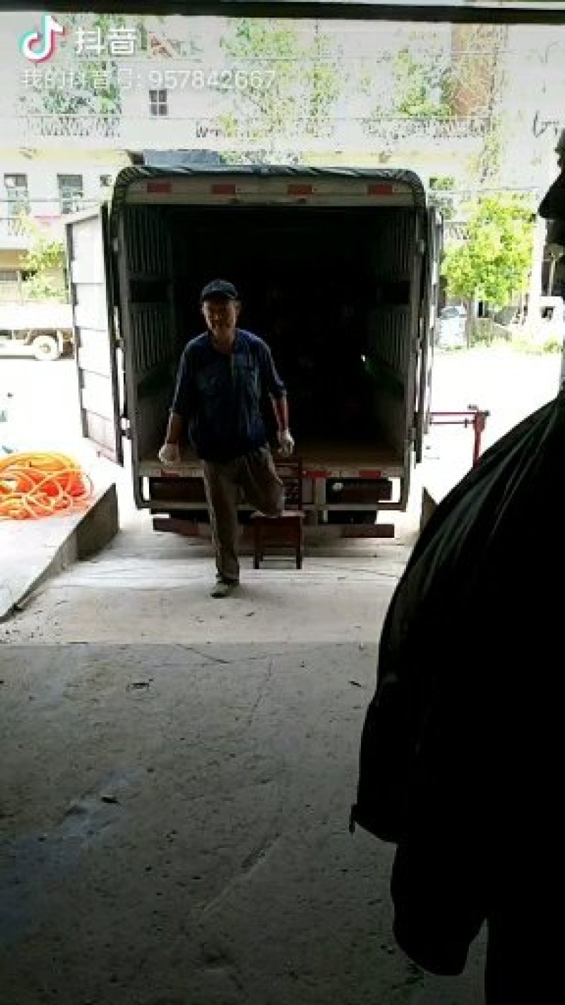 湖北襄阳青豌豆大量上市，现在限售欢迎老板咨询