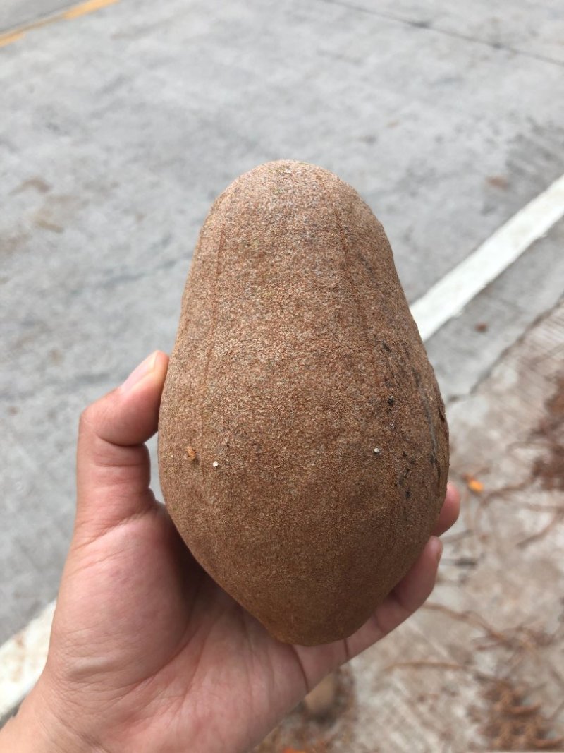 【向天果】所罗门无硫向天果大粒新鲜白心果包邮