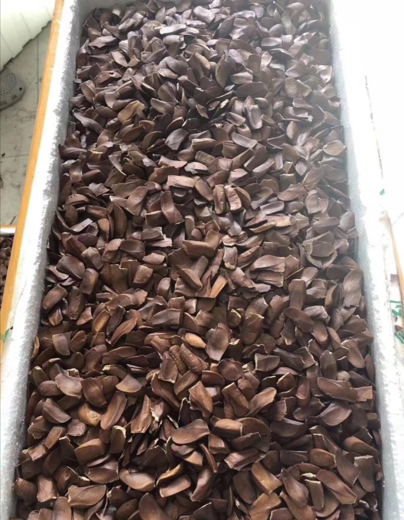 【向天果】所罗门无硫向天果大粒新鲜白心果包邮