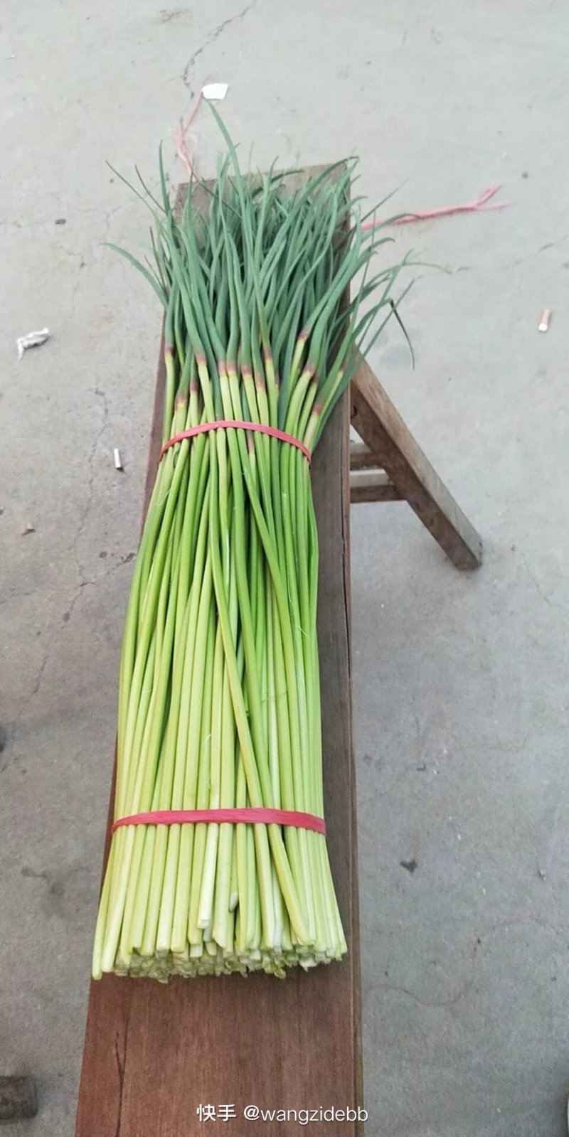 红帽白帽蒜薹精品60-70公分货源充足代发全国