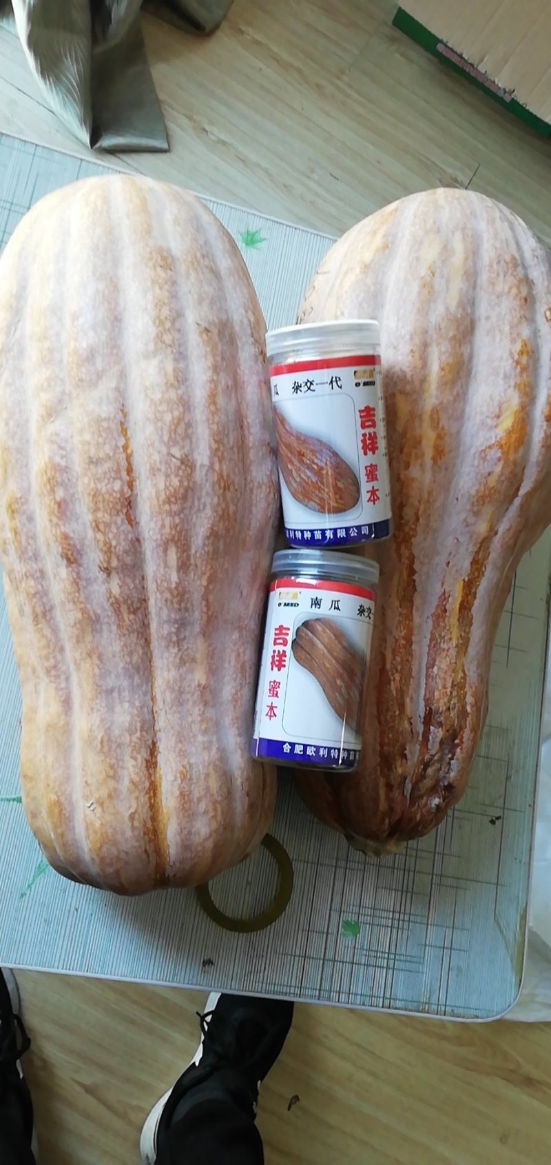 蜜本南瓜，全红全粉，软糯面甜，棱高槽深，养殖加工0.1元