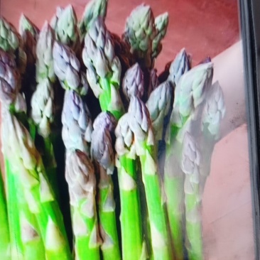 卢笋大量上市，量大优先