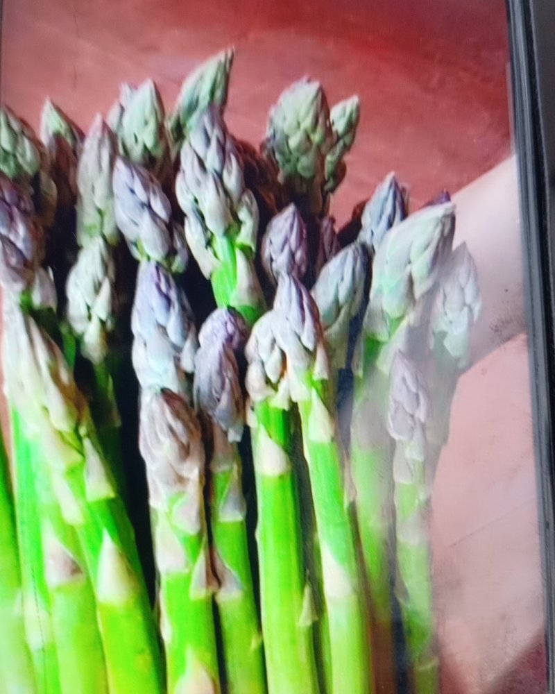 卢笋大量上市，量大优先