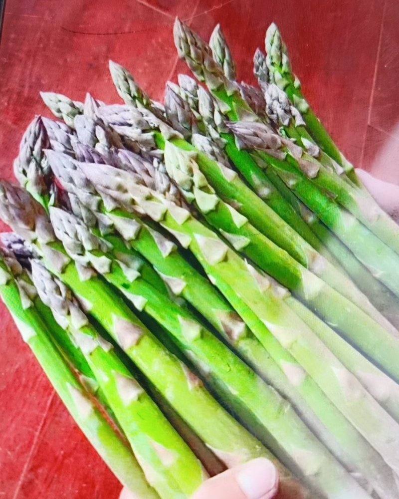 卢笋大量上市，量大优先