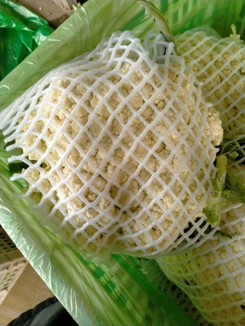 蔬菜