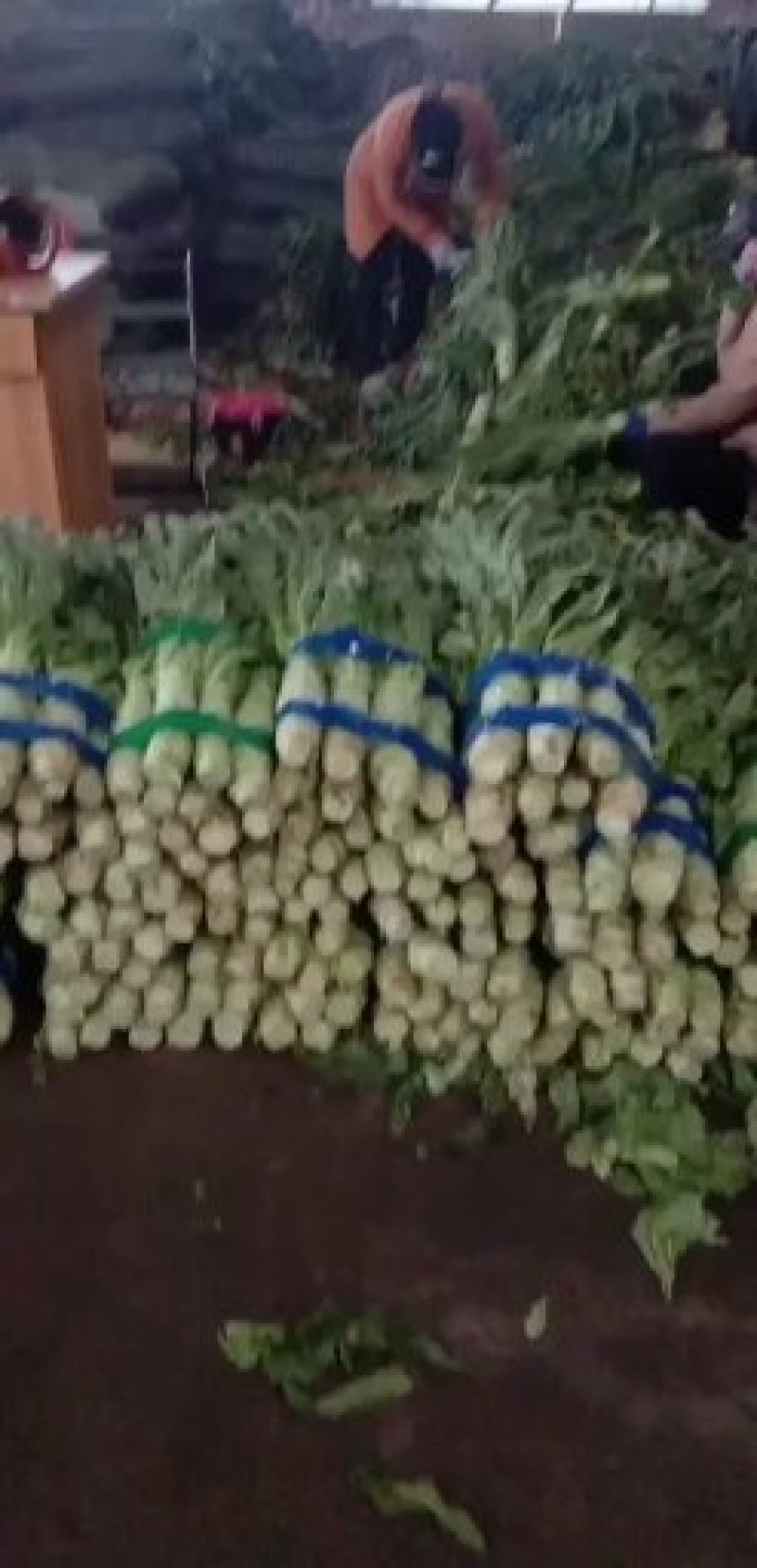 蔬菜