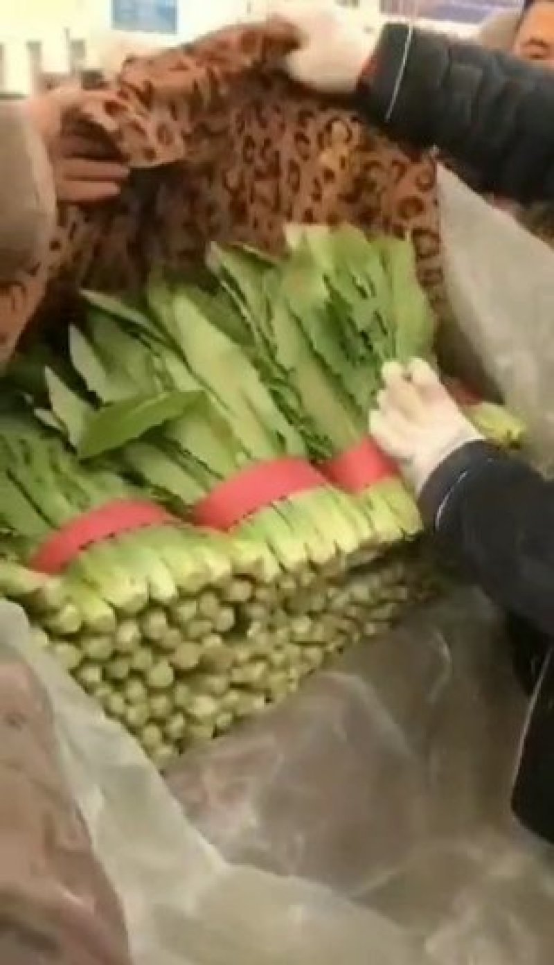 蔬菜