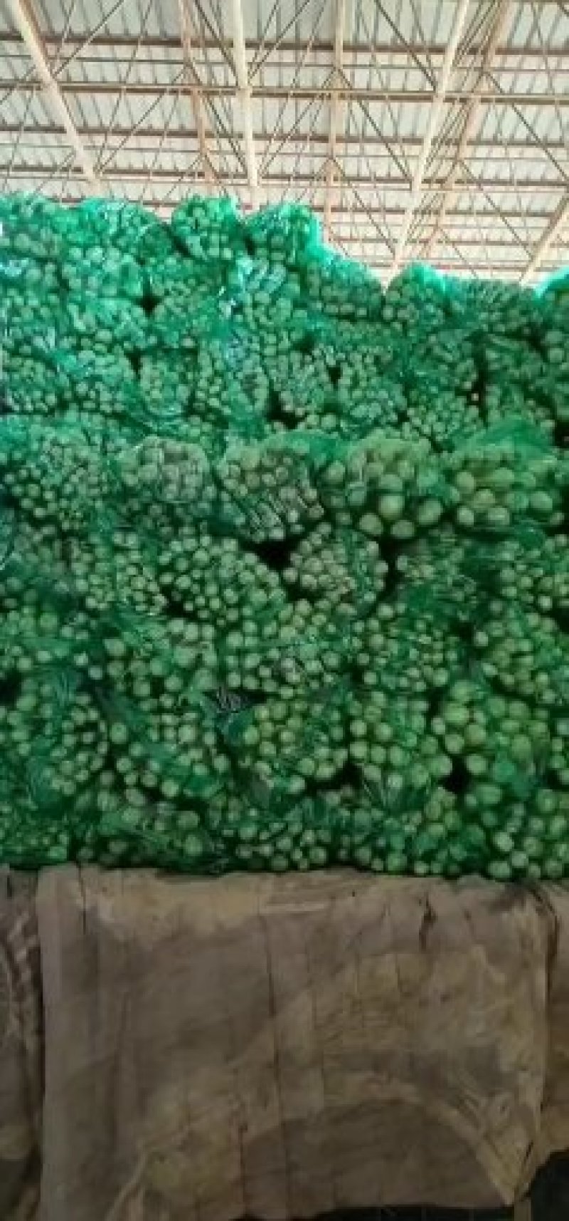 蔬菜