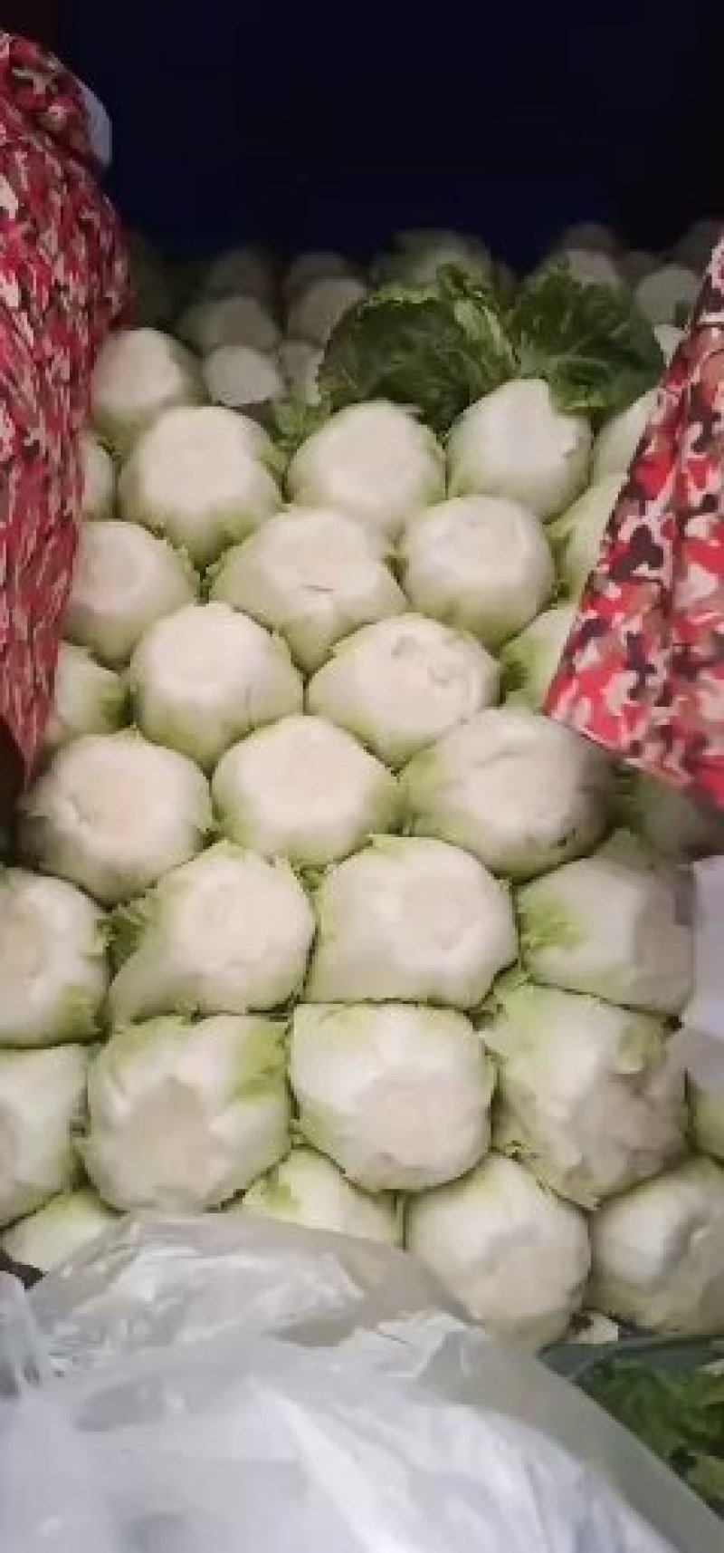 蔬菜