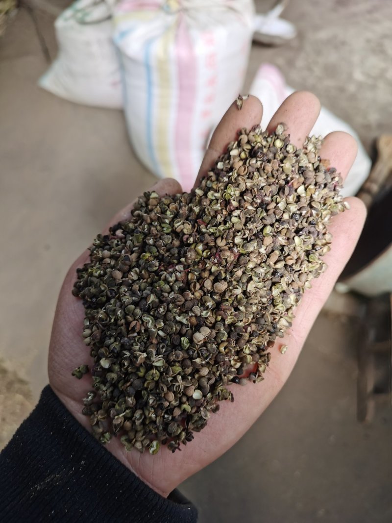 药材花椒，泡脚花椒