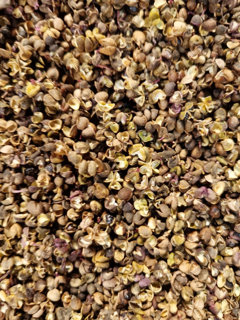 药材花椒，泡脚花椒