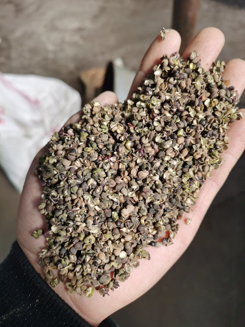 药材花椒，泡脚花椒