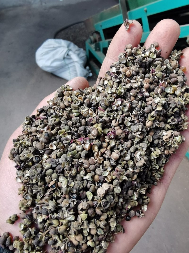 药材花椒，泡脚花椒