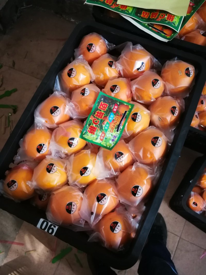 长虹脐橙/秭归长虹/秭归鲜橙个头大水分足/纽荷尔产地批发