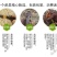 蝗虫蝗虫产地直供道地药材产地,药典标准支持线上交易保障