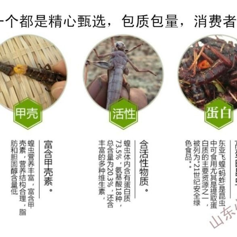 蝗虫蝗虫产地直供道地药材产地，药典标准支持线上交易保障