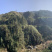 2025江西特产绿茶狗牯脑茶原产地高山茶叶