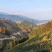 2025江西特产绿茶狗牯脑茶原产地高山茶叶