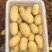 新土豆大棚的五一前后量大