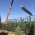辽宁沈阳塔柏桧柏小苗工程苗1米-6米高造型塔柏繁育基地