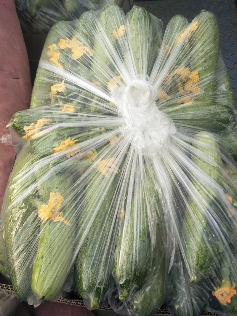 白黄瓜供应春秋量大欢迎光临