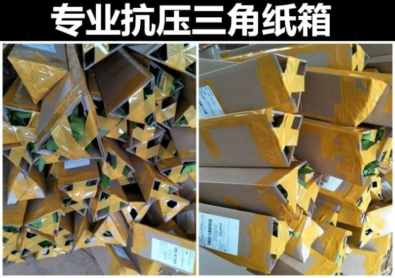 正宗皇帝柑树苗嫁接贡柑果苗盆栽地栽阳台庭院南北方品种种植