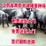 二元母猪价格防疫完善全国包送到家_养猪场