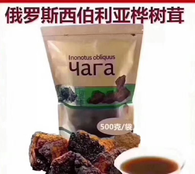 俄罗斯西伯利亚原包精选桦树茸