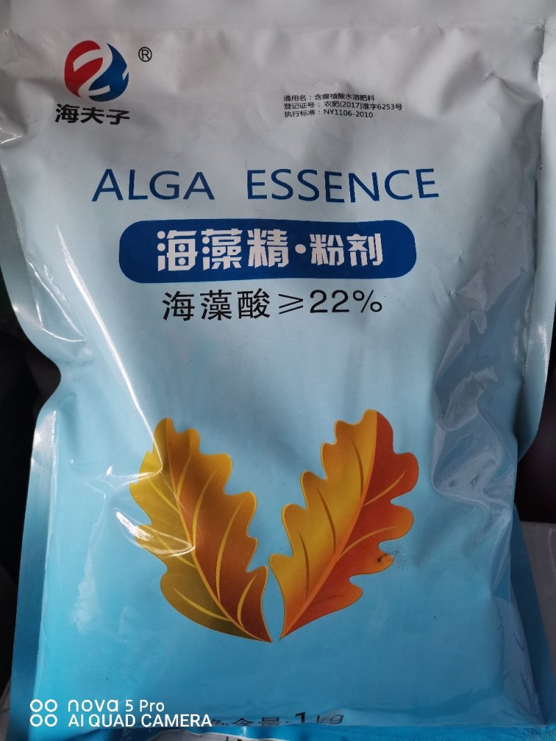海夫子~海藻精.粉剂（海藻酸22%）保花保果解肥害药害