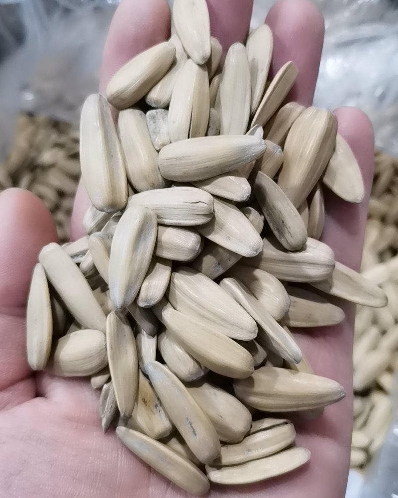 黄多味瓜子