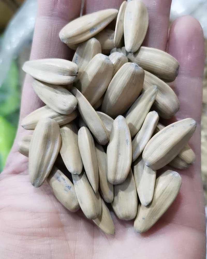 黄多味瓜子