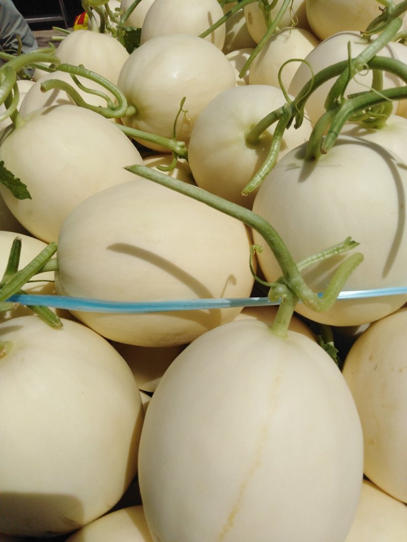 瓜果蔬菜