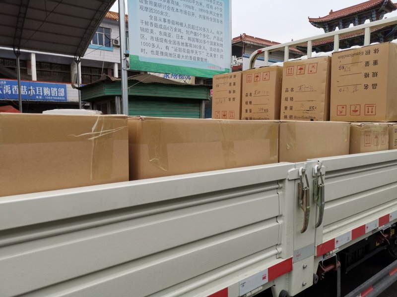 花菇，河南批发筛选天白花菇大中小多规格，