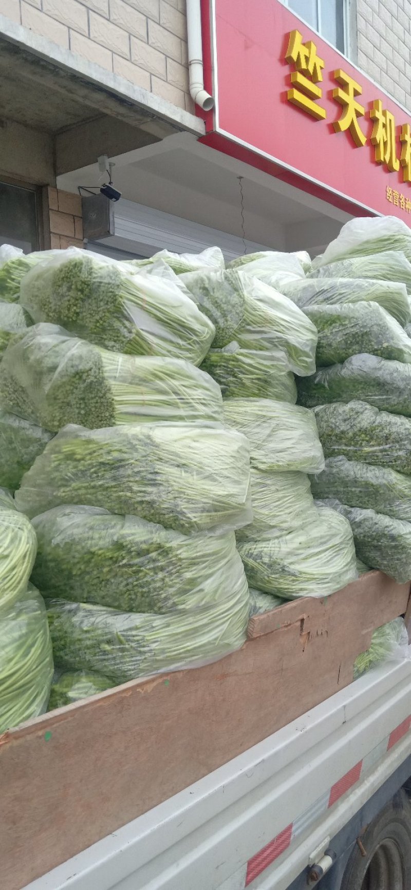新鲜蔬菜生产基地直供芦蒿