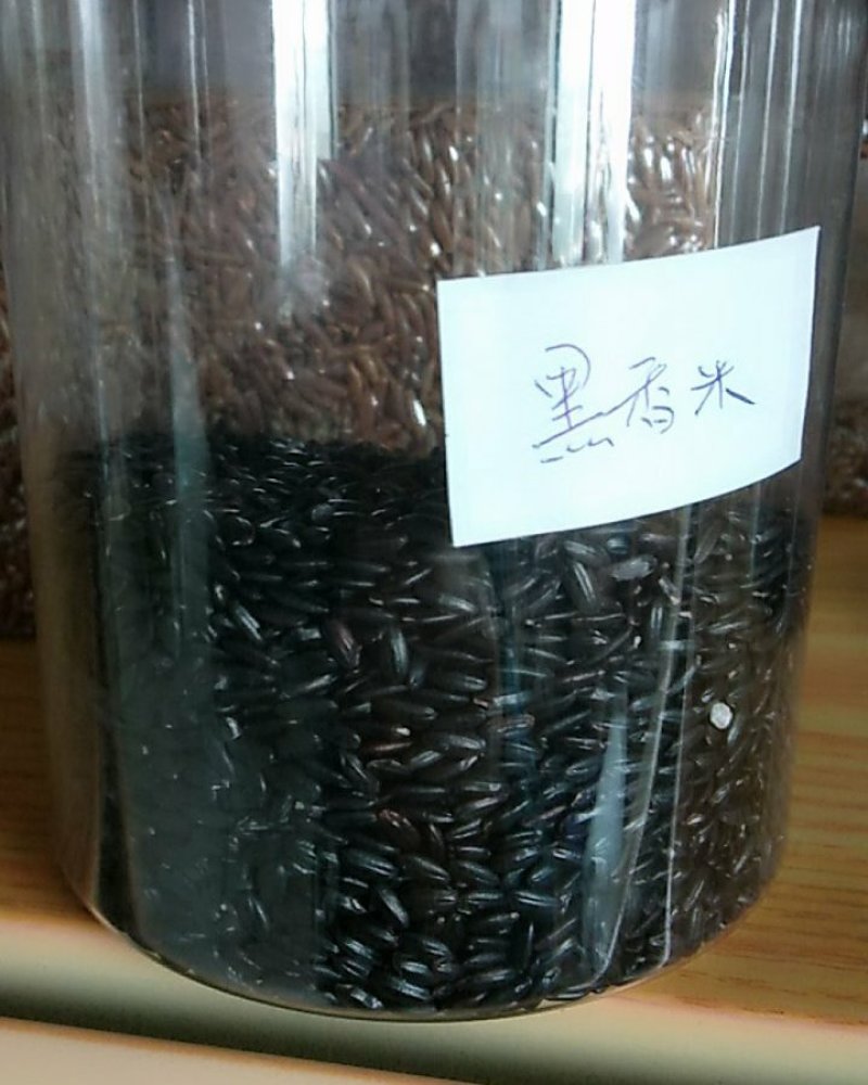 黑香米21年新货一级颗粒饱满9斤起批包邮散货无污色