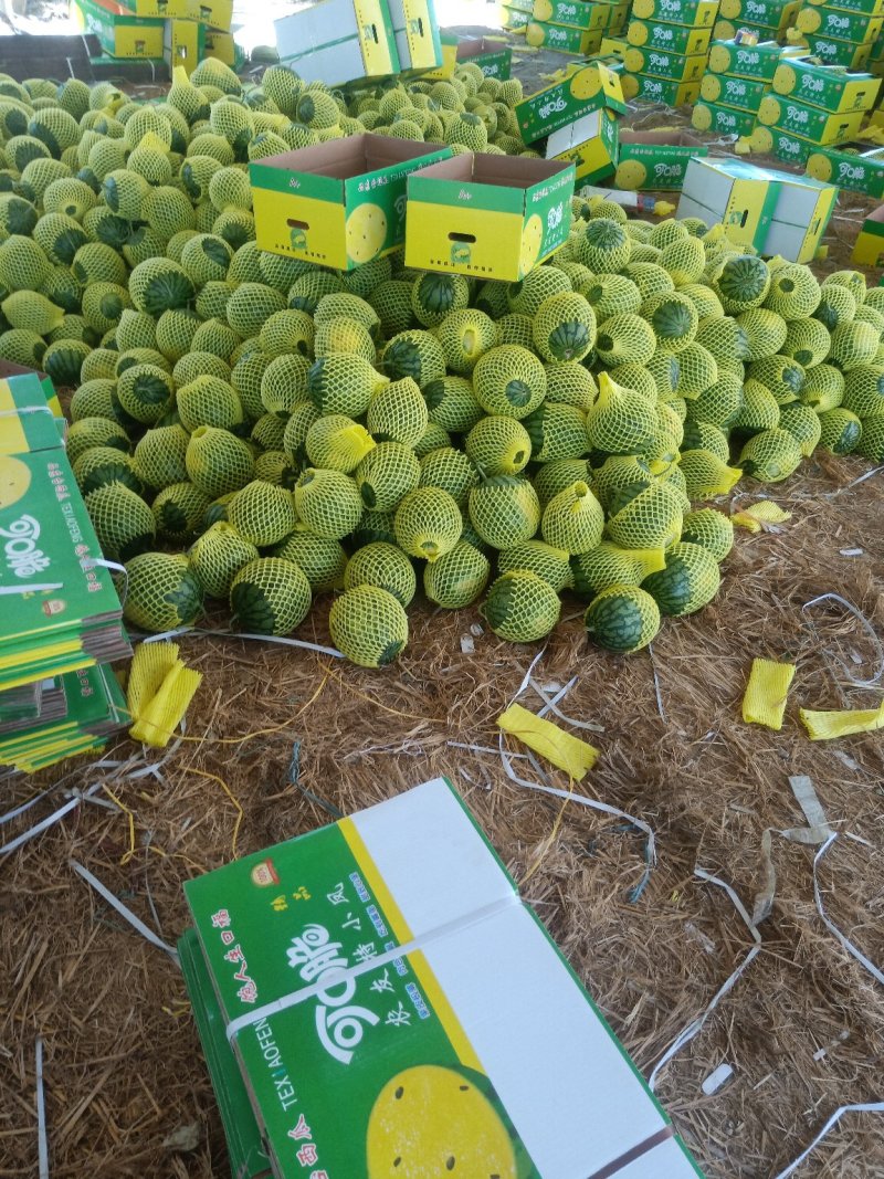 宿迁特小凤礼品西瓜承接商超电商网红带货皮薄多汁基地直供带纸箱