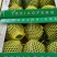 宿迁特小凤礼品西瓜承接商超电商网红带货皮薄多汁基地直供带纸箱