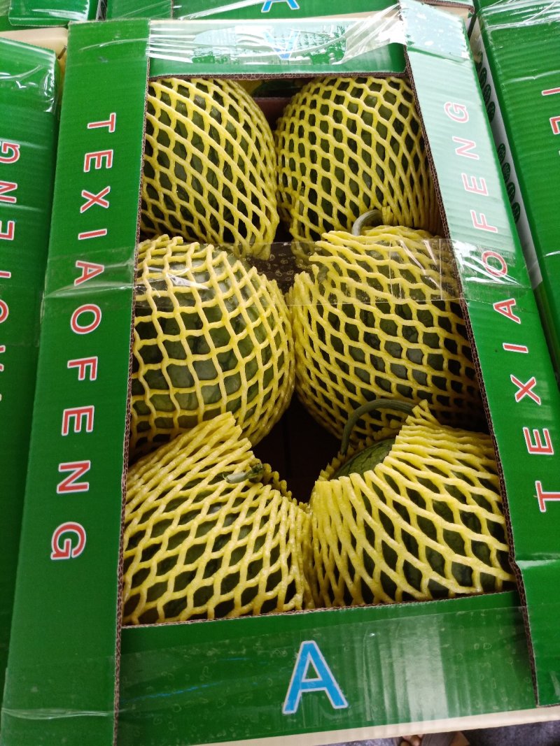 宿迁特小凤礼品西瓜承接商超电商网红带货皮薄多汁基地直供带纸箱