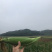 广西横州市水果甜玉米棒大量上市专业代办打冰有场地