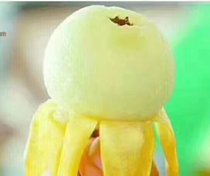 一市白枇杷