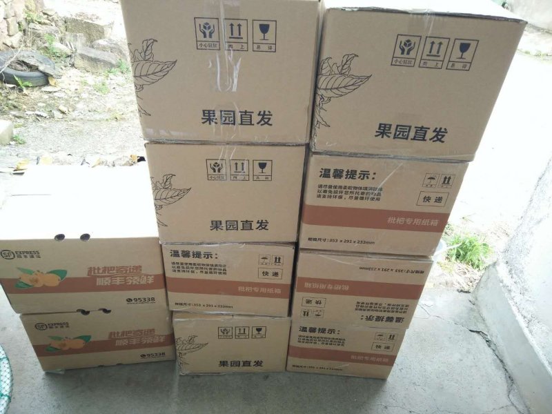 一市白枇杷
