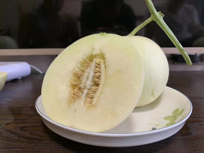 陕西阎良甜瓜可以大量供应电商，可一键代发