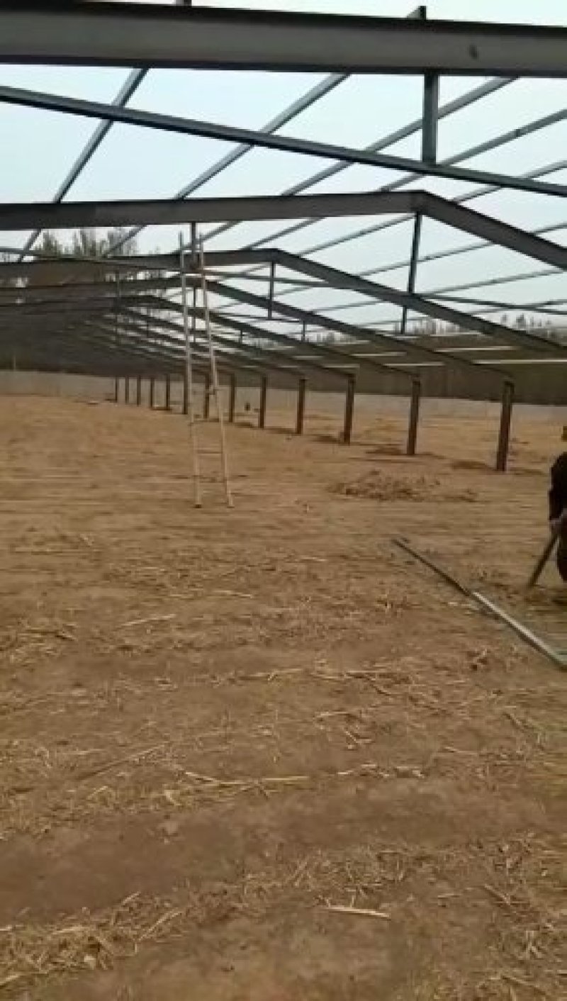 鑫旺大型养殖搭建鸡舍鸭舍猪舍