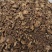 羌活野生家种各种规格羌活产地直销品质保证